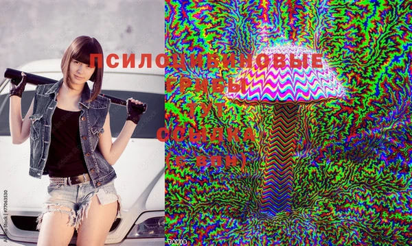 ешки Алексеевка