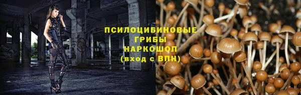 каннабис Алзамай