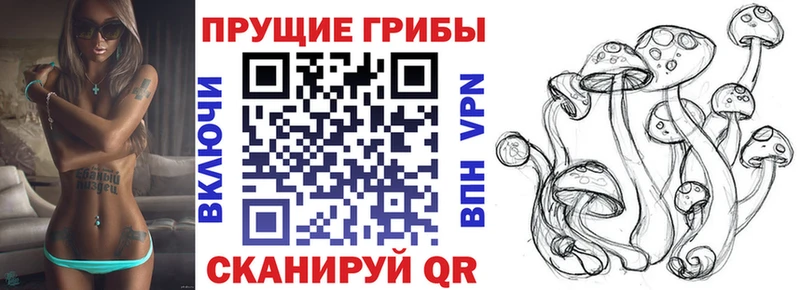 Галлюциногенные грибы прущие грибы  наркота  Нелидово 